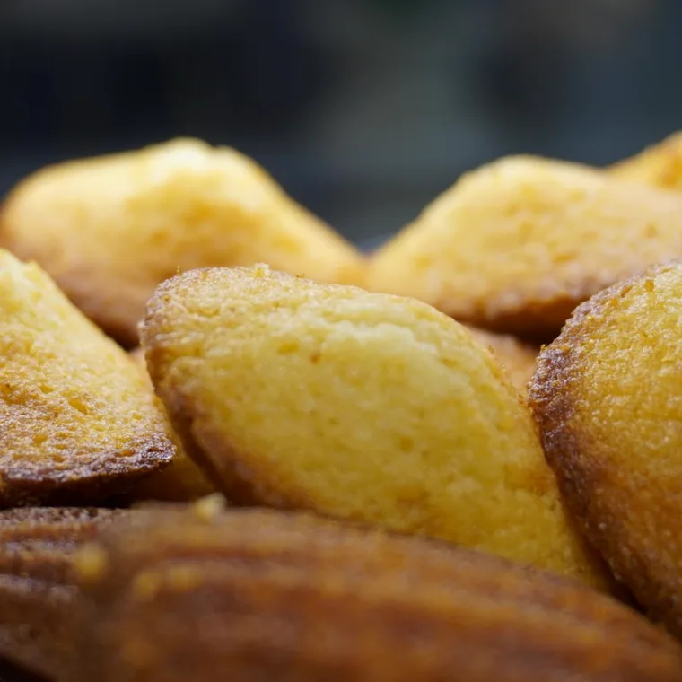 Madeleines recién hechas