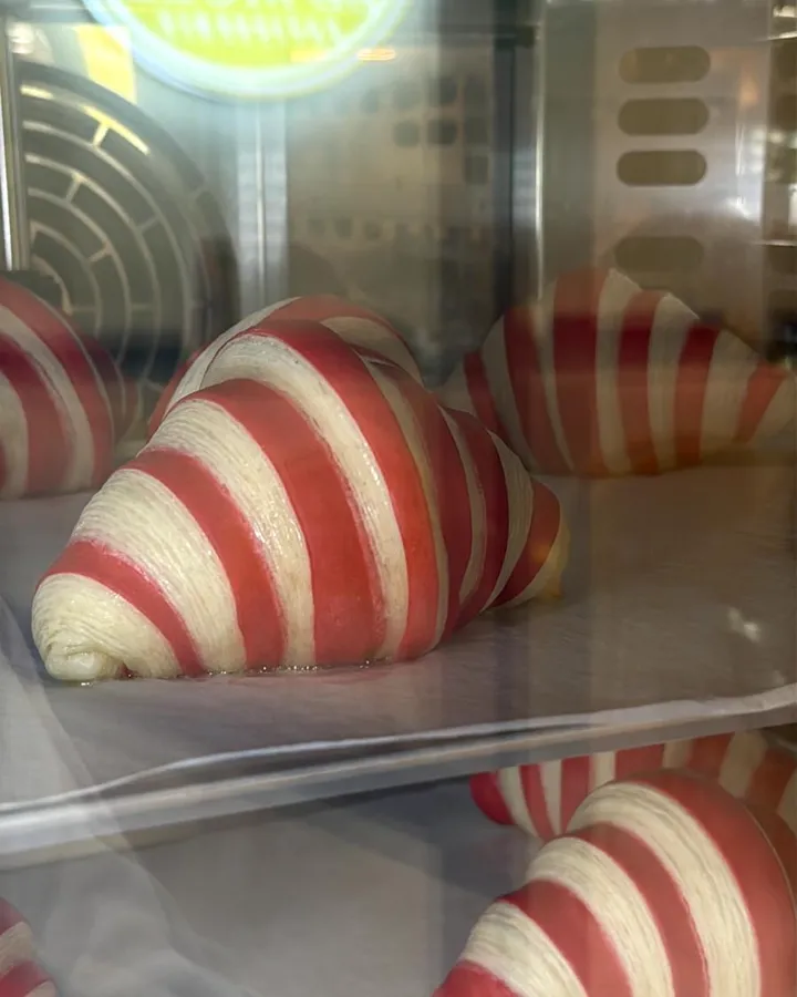 Croissants bicolor fermentando en la cámara
