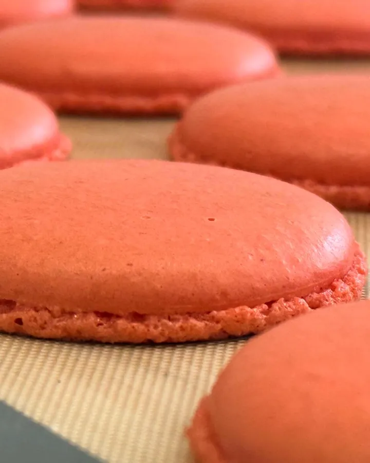 Conchas de macaron recién escudilladas